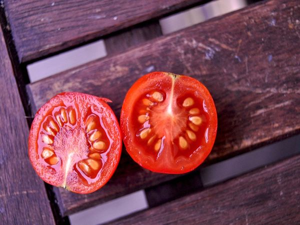 Семена помидор: ваш путеводитель по миру домашнего выращивания